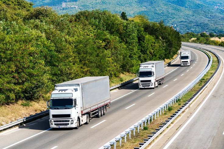 Domestic & International Land Transportation